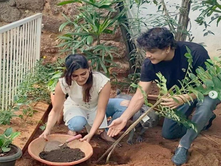 samantha nagarjuna
