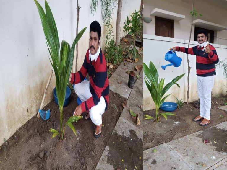 shiva green challenge