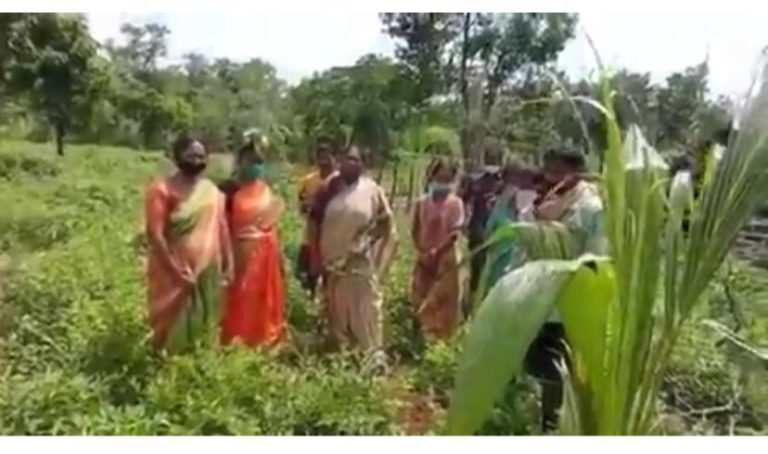 mla seethakka