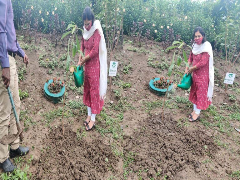 green challenge