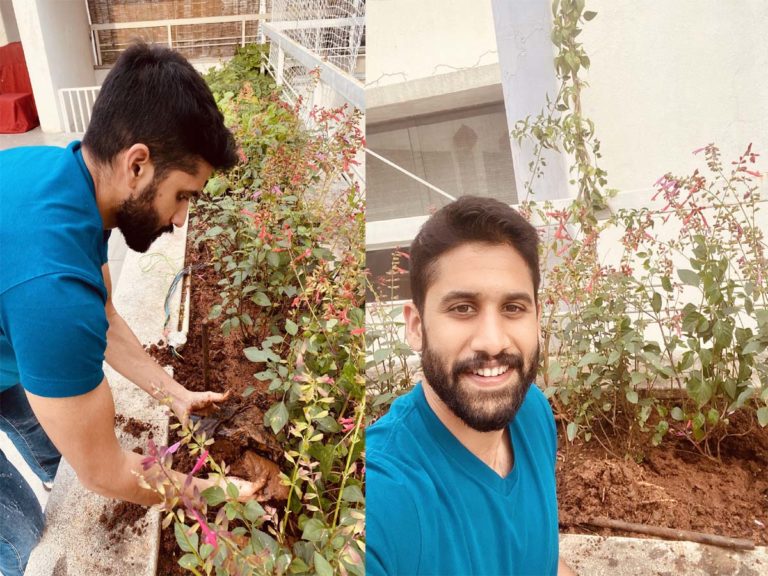 naga chaitanya
