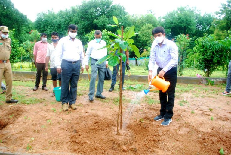 warangal giv