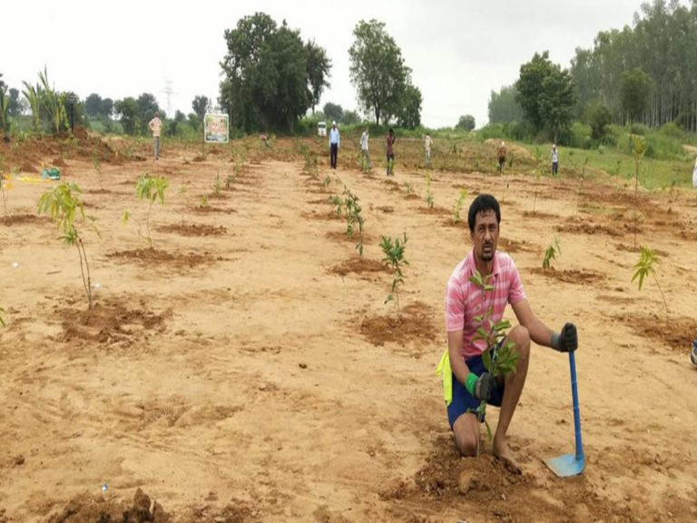 Green India Challenge