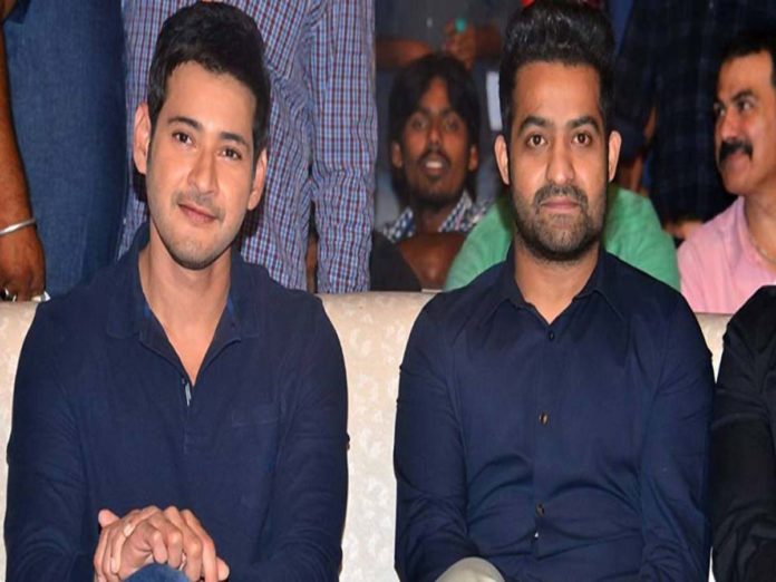 mahesh babu