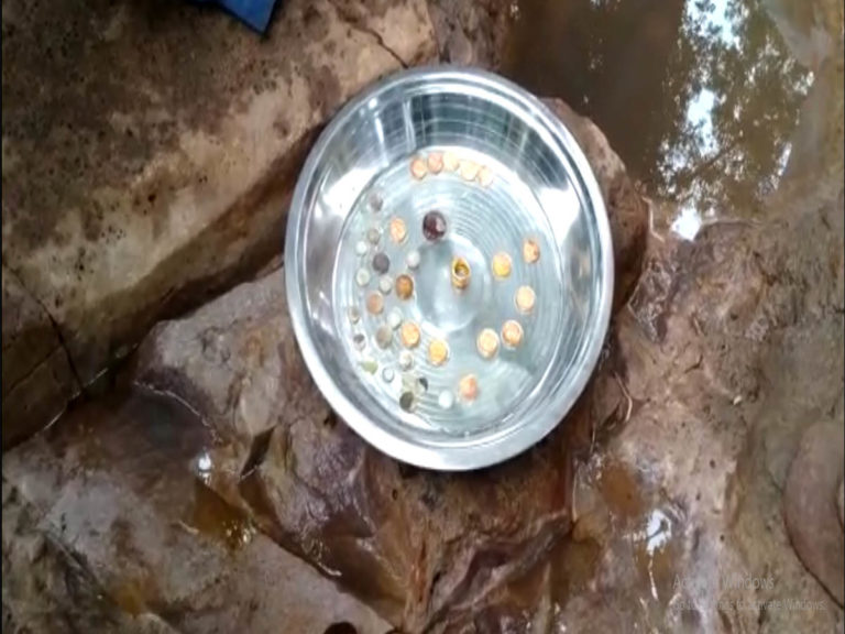 Gold Coins