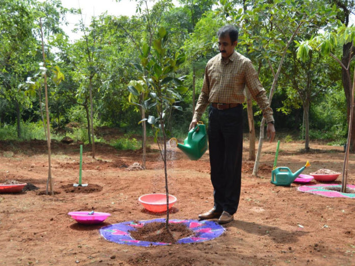 Medchal Collector