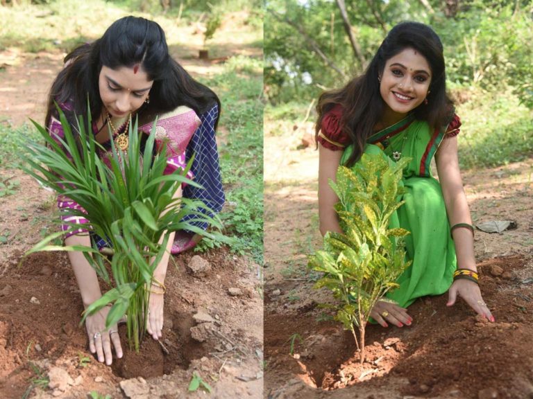 green challenge