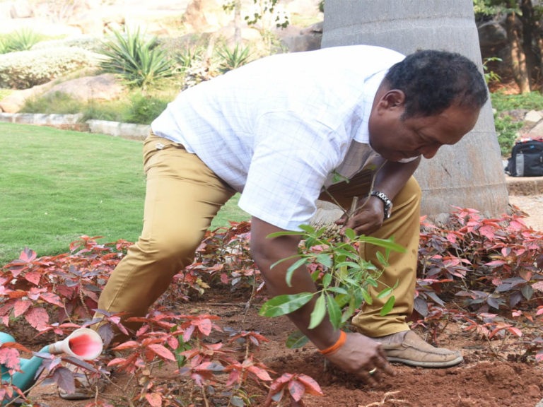 Green Challenge