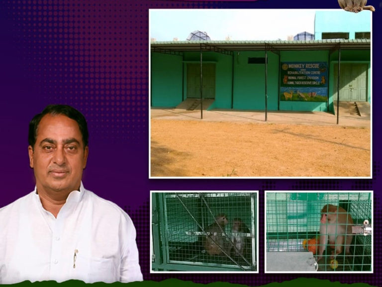 Monkey Conservation Center