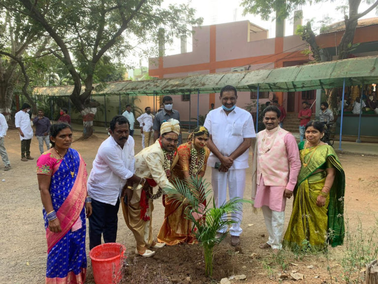 New Couple Planted Saplings