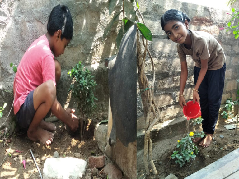 Green Challenge