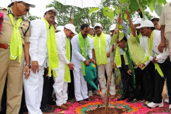 haritha haram