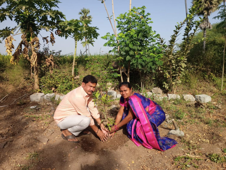 Green Challenge