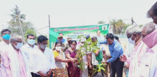 Singareni Director Balram Naik