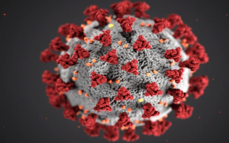 coronavirus
