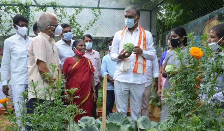 harish rao