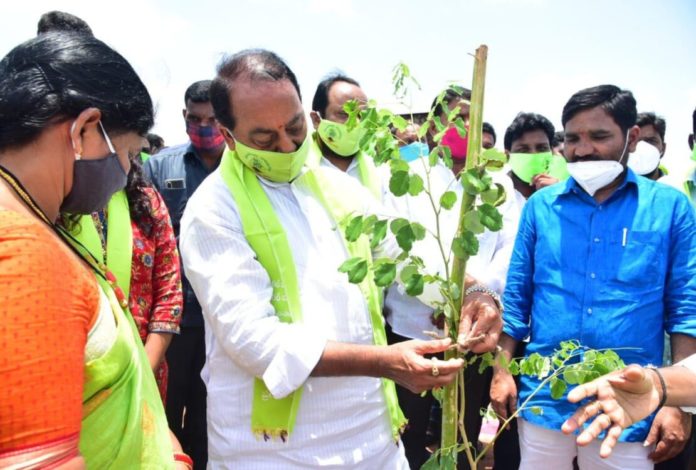 haritha haram