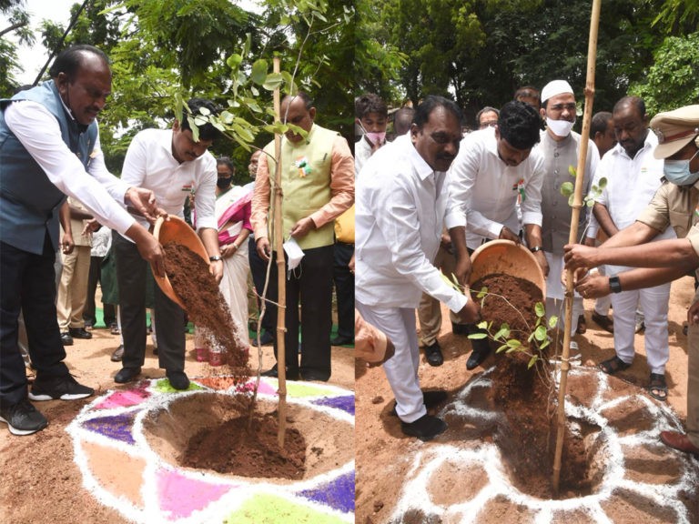 స్వాతంత్ర్య దినోత్సవం సందర్భంగా మొక్కలు నాటిన ఎంపీ సంతోష్..
