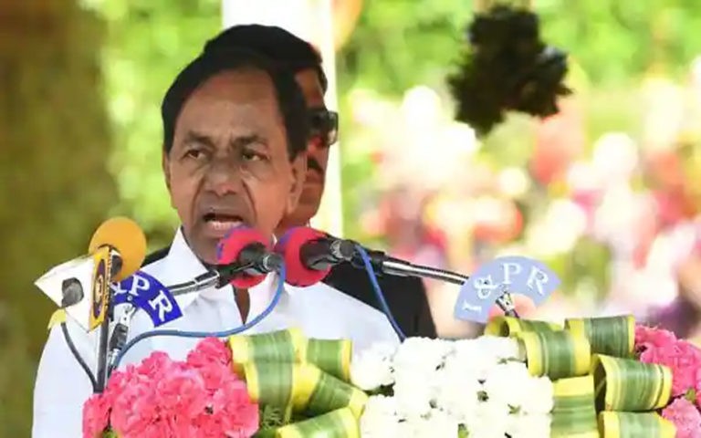 ట్రీ సిటీగా హైదరాబాద్: సీఎం కేసీఆర్‌