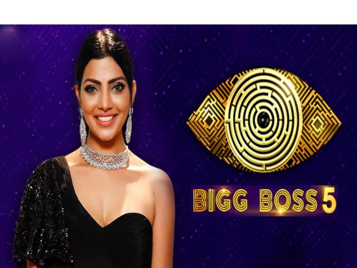 Bigg Boss Lahari