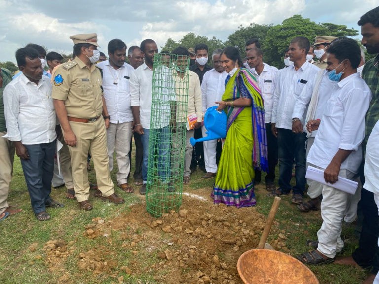 జమ్మి చెట్లు నాటిన ఎమ్మెల్యే పద్మా దేవేందర్ రెడ్డి..