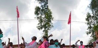 Minister Harish Rao