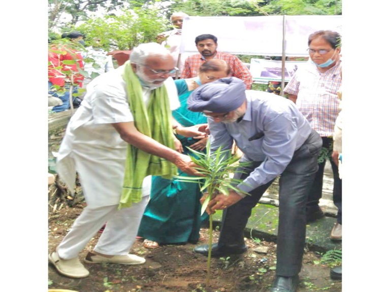 గ్రీన్ ఛాలెంజ్ స్వీకరించి మొక్కలు నాటిన సజ్జన్ సింగ్..