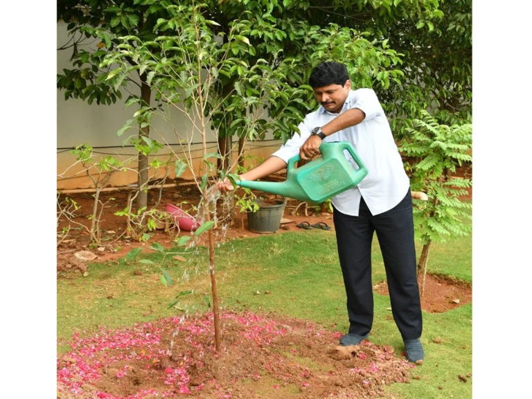 గ్రీన్ ఛాలెంజ్‌కు అపూర్వ స్పందన..