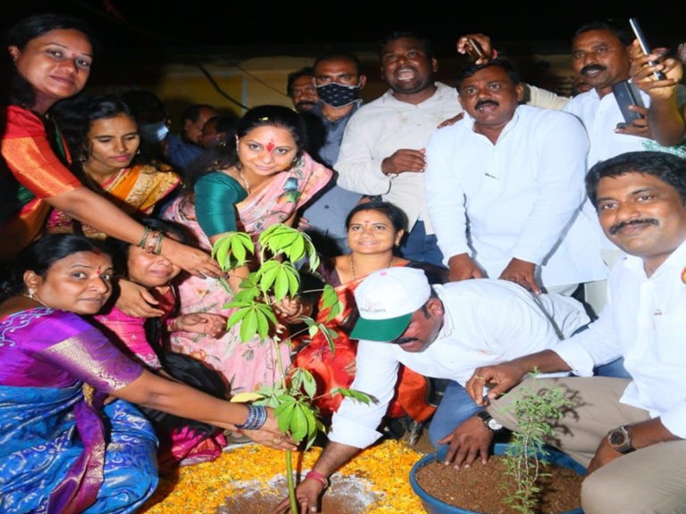 మొక్కలు నాటిన ఎమ్మెల్సీ కవిత..