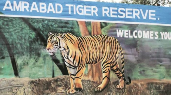 amrabad-tiger-reserve