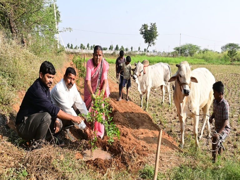 గీతా గోశాలలో గ్రీన్ ఇండియా ఛాలెంజ్‌..