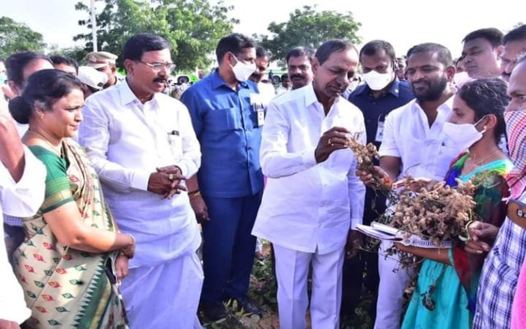 kcr