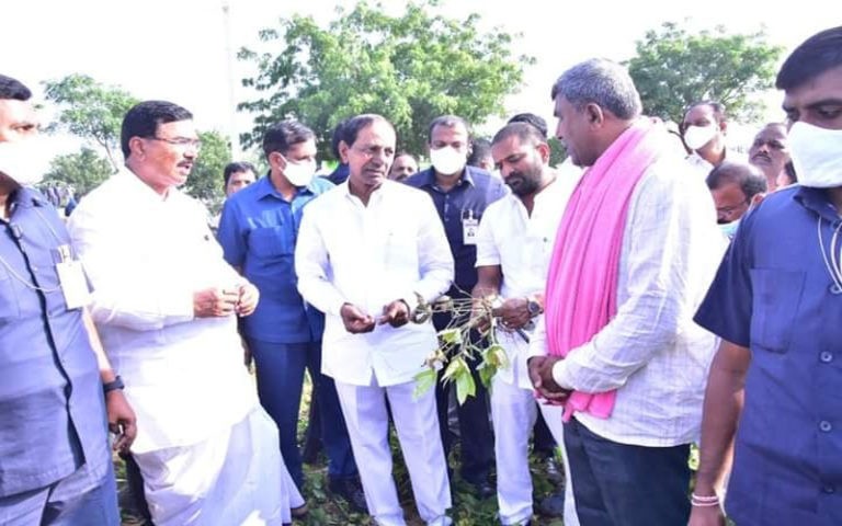 మార్కెట్లో డిమాండ్ ఉన్న పంటలనే సాగు చేయాలి- సీఎం కేసీఆర్