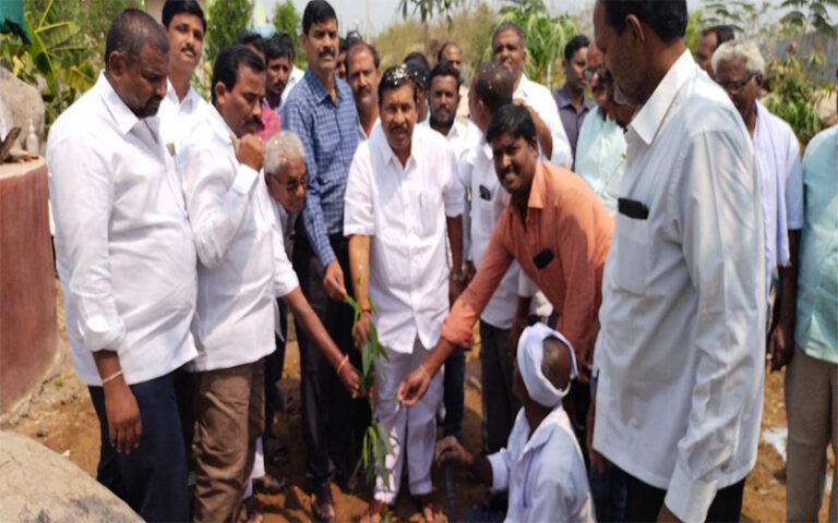 మొక్కలు నాటిన ఎమ్మెల్యే రాథోడ్ బాపు రావు..