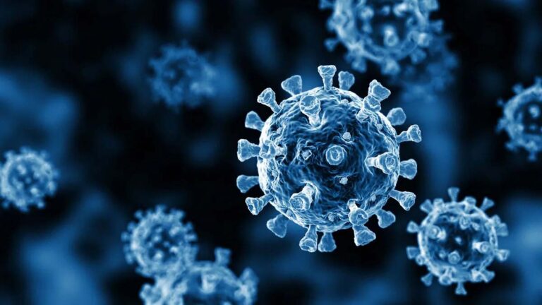 virus