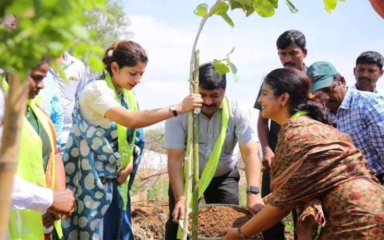 మొక్కలు నాటిన సీఎంఓ అధికారులు..