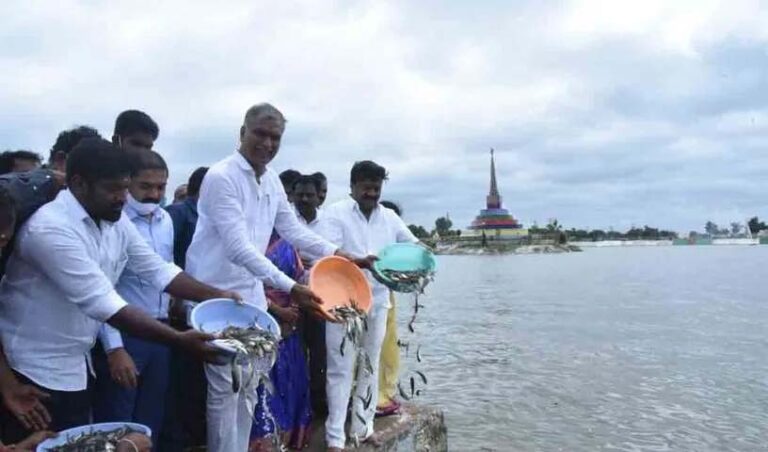 కాళేశ్వరంతో చెరువులకు జలకళ