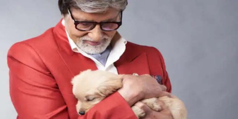 భావోద్వేగానికి గురైన బిగ్‌బీ