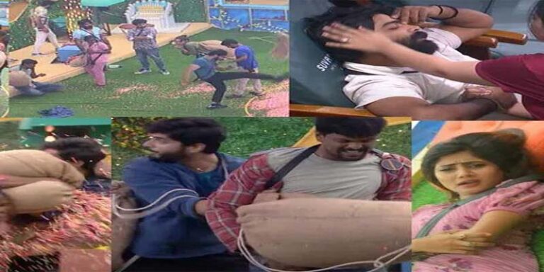 bigg boss telugu 6