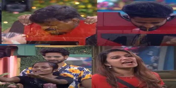 bigg boss telugu 6