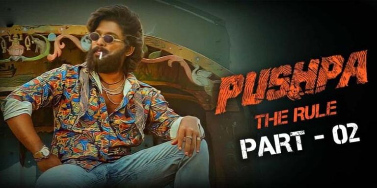 బన్నీ హిందీ ప్రేమ..  కానీ తెలుగే లాభం సుమీ !  