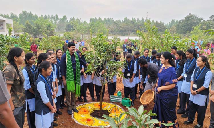 MP Santhosh Plants Saplings