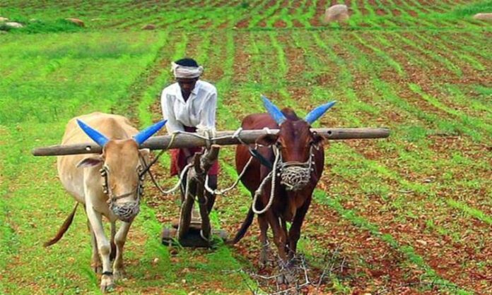 pm kisan