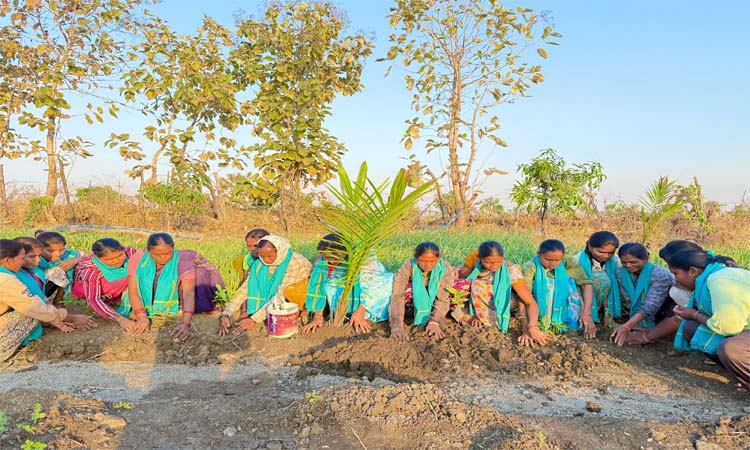 ఉమెన్స్‌ డే..మొక్కలు నాటిన మాజీ ఎంపీ సంతోష్