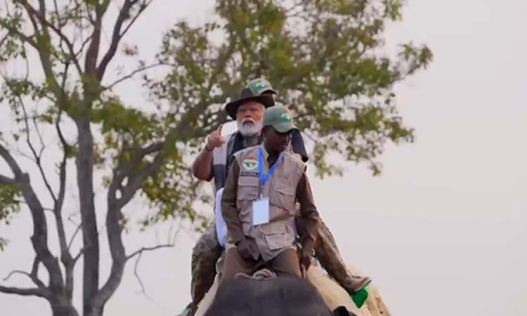 Modi:సింహం సఫారీకి ప్రధాని మోడీ