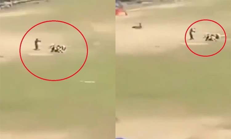 షాకింగ్ వీడియో.. ఎంత దగ్గరి నుండి కాల్చారో చూడండి!