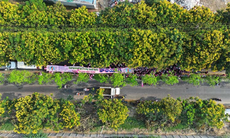 BRS సభకు.. గులాబీ దండు పాదయాత్ర