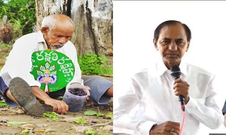 రామయ్య మరణం.. పచ్చదనానికి తీరని లోటు