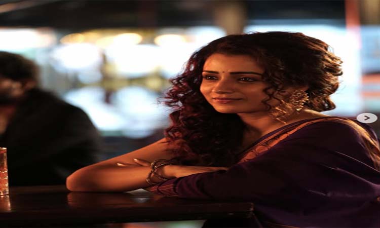 సోషల్ మీడియా పోస్టులపై త్రిష ఆగ్రహం