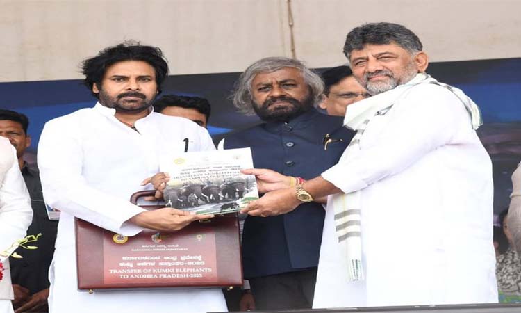 AP:పవన్‌పై లోకేష్‌ ప్రశంసలు